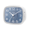 JVD SRP003.1 web
