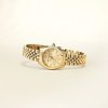 timeless code r0553109501 259170030112943