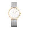 Bering CLASSIC  14134-010