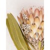 kvetinove nausnice s kristalem preciosa florita bloom pop 2648 69 259282970100346